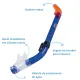 KIT KOY MIDI, Conjunto Máscara Snorkel Infantil - Miniatura 9