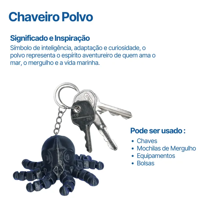 CHAVEIRO 3D, Polvo - Imagem 2