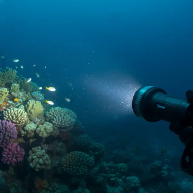 Lanterna de Mergulho Thor LED Fun Dive 150 Lumens à Prova d'Água até 50 m - Imagem 7