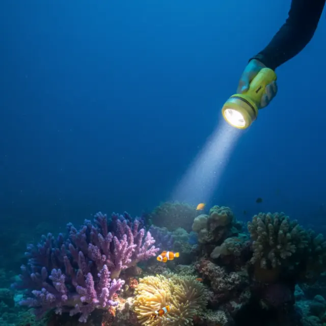 Lanterna de Mergulho Thor LED Fun Dive 150 Lumens à Prova d'Água até 50 m - Imagem 2
